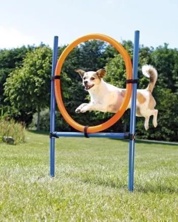 Trixie Agilityring til hundetræning – Sjov aktivitet!