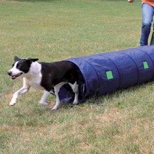 Agility Tunnel Lille – Ideel til Hundetræning og Leg!