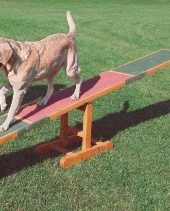 Komplet Agilitybane til Hundetræning – Trixie Udsalg!