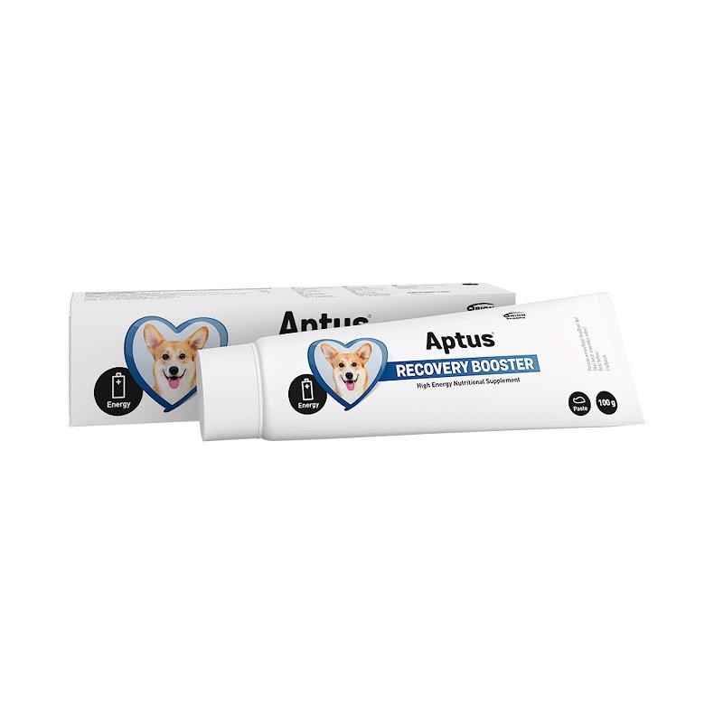 Aptus Recovery Booster 100g – Energi til hundens restitution