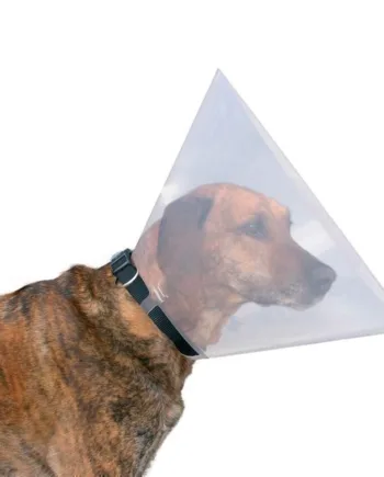 Effektiv sårbeskyttelseskrave til hunde - Tryg heling