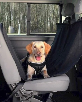 Bilsædetæppe til hund – Sikkerhed og komfort på rejsen!