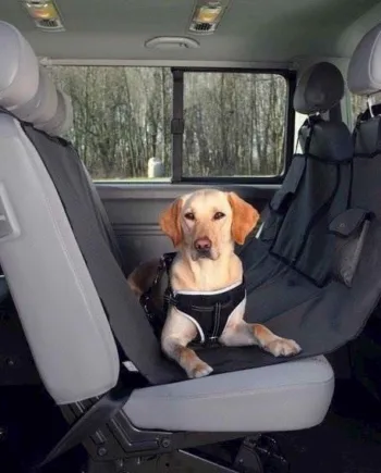 Bilsædetæppe til hund - Holdbar og praktisk løsning!