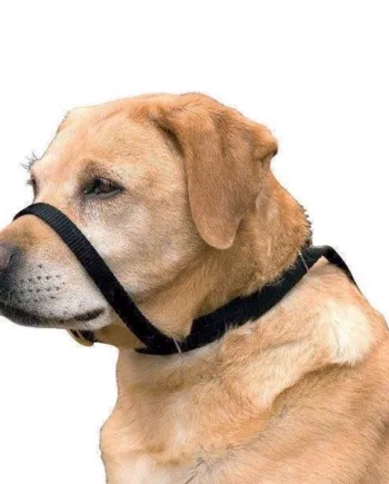 Canny Collar – Effektivt Anti-træk Halsbånd til Hunde