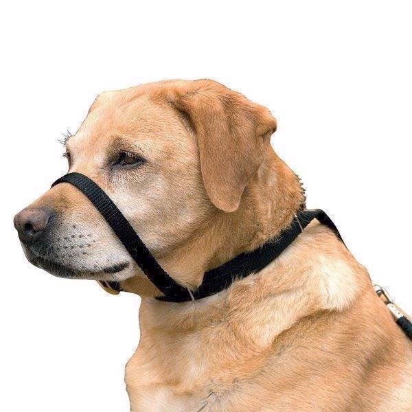 Canny Collar – Effektivt Anti-træk Halsbånd til Hunde