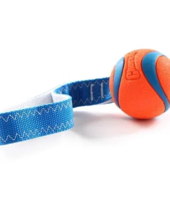 Chuckit Ultra Tug Bold – Holdbart Trækkelegetøj til Hunde