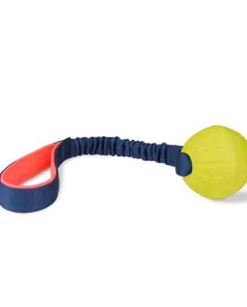 Coachi Tuggy Bold med Bungee – Fantastisk hundelegetøj!