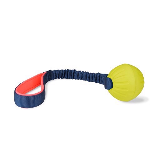 Coachi Tuggy Bold med Bungee – Fantastisk hundelegetøj!
