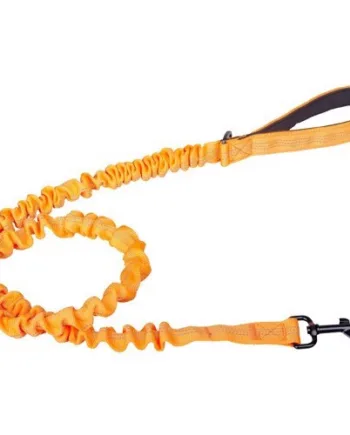 Elastisk hundesnor i orange – Komfort og sikkerhed!