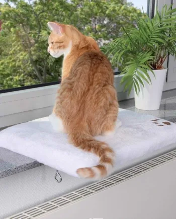 Cosyplace Katte Vindueskarm Liggeplads – Fantastisk Tilbud!