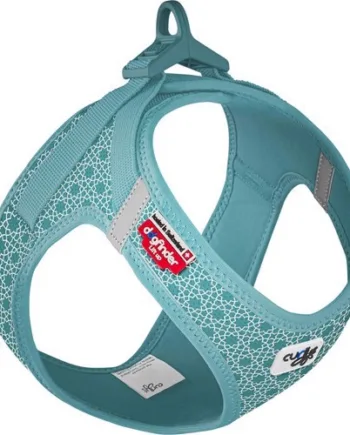Curli Clasp Air Mesh Sele – Turquoise til Hunde