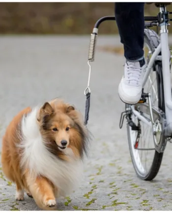 Cykelafstandsholder til hunde – Black Friday Tilbud!