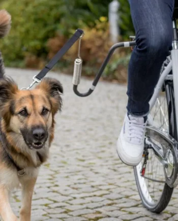 Cykelafstandsholder til hunde – Fantastisk tilbud!
