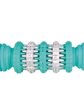Denta Fun Tandrensende Legetøj til Hunde - Mintsmag 11 cm