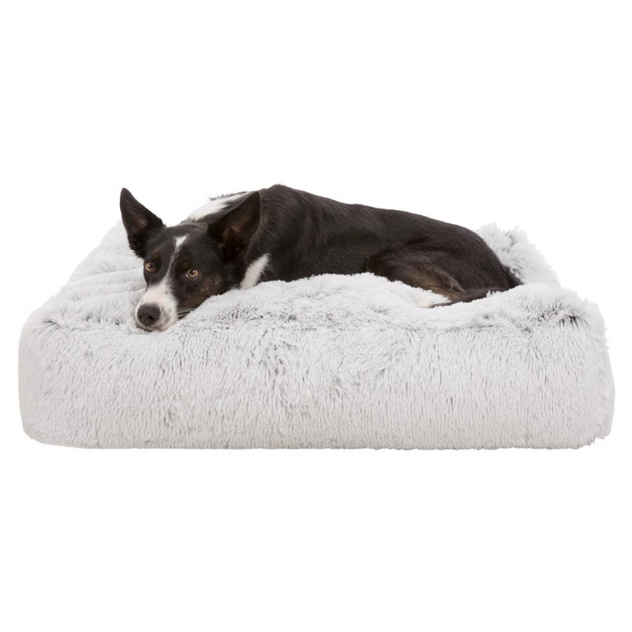 Harvey Hundemadras i Hvid og Sort – Komfort til Din Hund