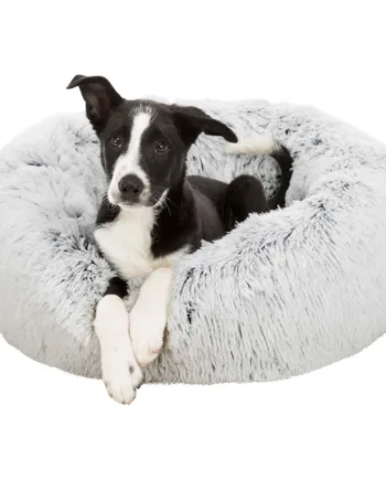Harvey Hundeseng i Hvid og Sort – Komfort til Din Hund