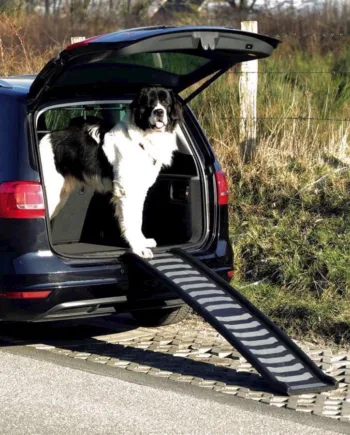 Sammenklappelig hunderampe til sikker biltransport
