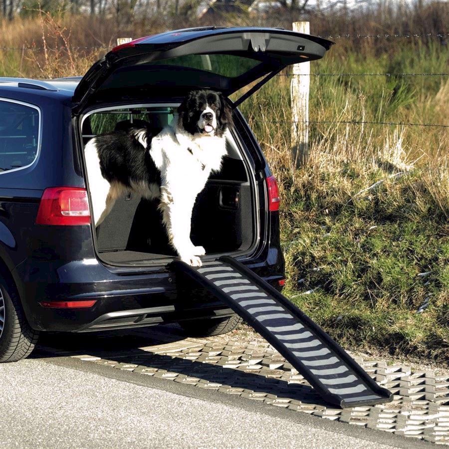 Sammenklappelig hunderampe til sikker biltransport