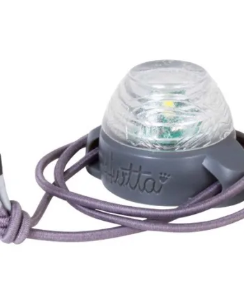 Hurtta Nordic LED-lys til hunde – Sikkerhed i mørket