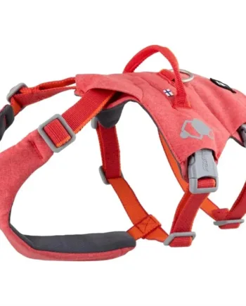Hurtta Safeguard Eco Sele – Sikker hundesele til aktive hunde