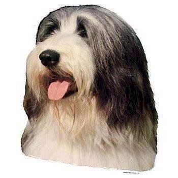 Bearded Collie Klistermærke til Hundeudstyr - Unik Dekoration
