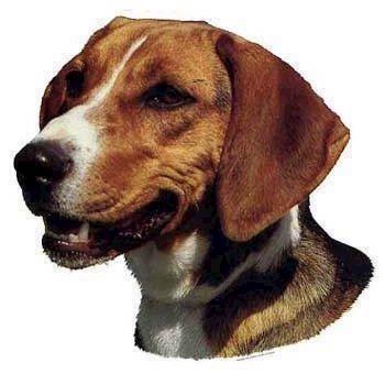 Selvklæbende klistermærker med Hamilton Hound motiv