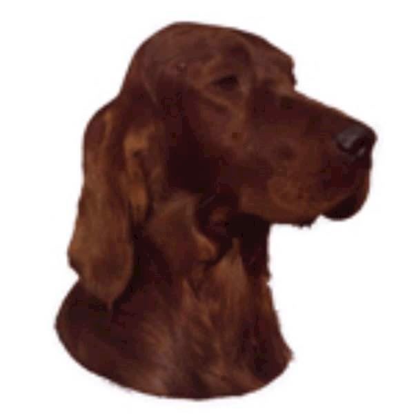 Klistermærker med Irsk Setter – Perfekte til hundeudstyr!