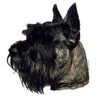 Miniature Schnauzer Klistermærker til Hundeudstyr - Dekorer!