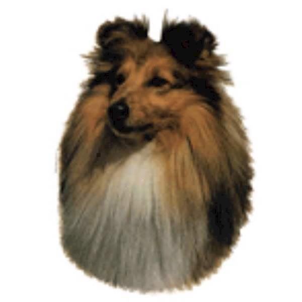 Shetland Sheepdog Klistermærke – Ideelt til Hundeskilt!