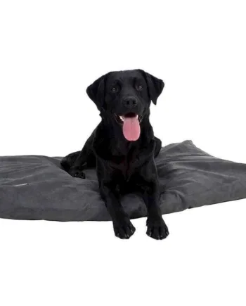 Memory Foam Hundeseng i Grå – Ultimativ Komfort til Din Hund!