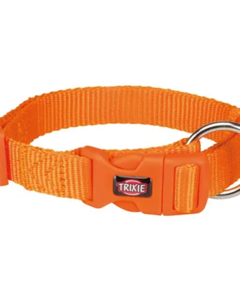 Holdbart Nylon Halsbånd til Hund - Justerbart Papaya Design