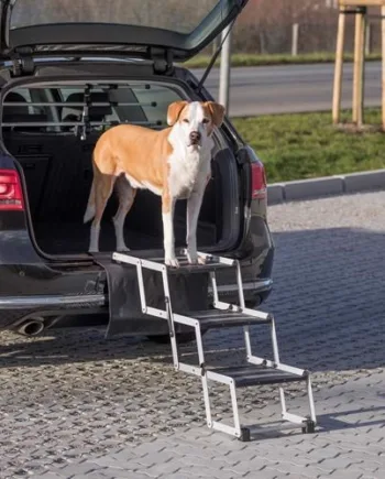 Foldbar Trappe til Hunde – Sikker Transportløsning!
