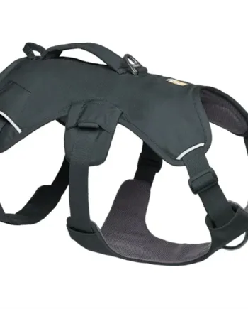 Ruffwear Web Master Sele – Basalt Grå til Eventyrhunde