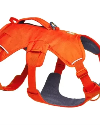 Ruffwear Web Master Sele – Blaze Orange til aktive hunde