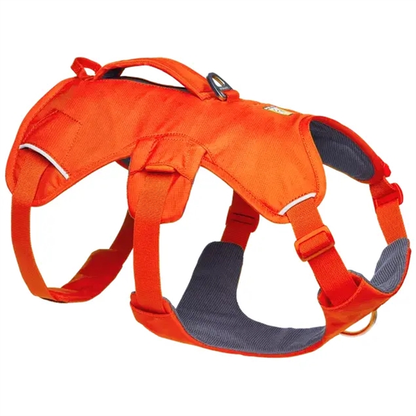 Ruffwear Web Master Sele – Blaze Orange til aktive hunde