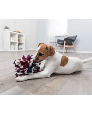 Snusebold til hunde – Leg og fodring i ét!