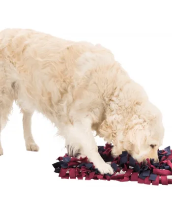 Stimulerende Snusetæppe til Hunde – Leg og Fodring!