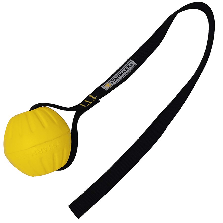 Starmark Gripcord Durafoam Bold – Hvalpe Legetøj Tilbud!