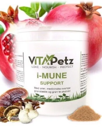 Vitapetz I-mune Support 100g – Styrk din hunds immunforsvar!