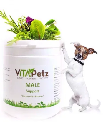 Vitapetz Hormonel Balance til Hanhunde 125g – Støt din hund!