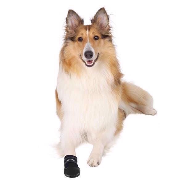 Walker Care Hundestøvler – Beskyt din hunds poter!