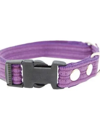 Stilfuldt Lilla Hundehalsbånd med Snaplås – Holdbart Design