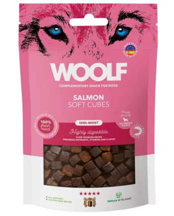 Woolf Laks Snackterninger 100g – Sund Hundegodbid Uden Korn