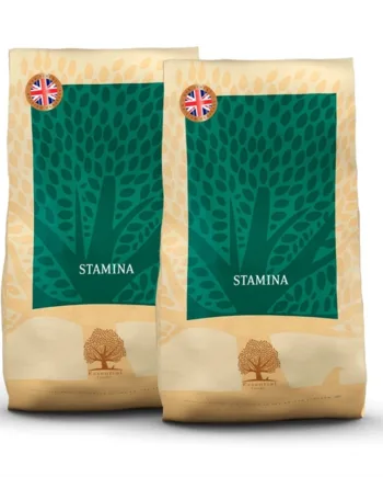 10 Kg Essential Heritage Stamina til aktive hunde