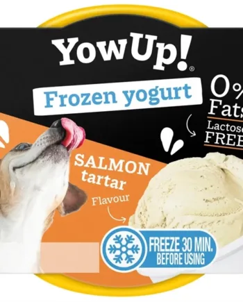 Yowup Hundeis med Laks – Sund Snack til Varme Dage