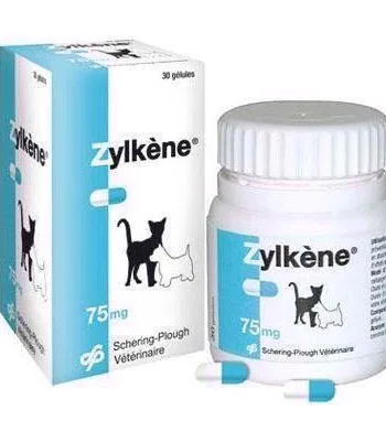 Zylkene Stresslindrende Tilskud til Hunde og Katte