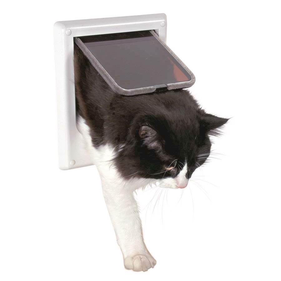 Magnetisk kattelem til sikker adgang for din kat