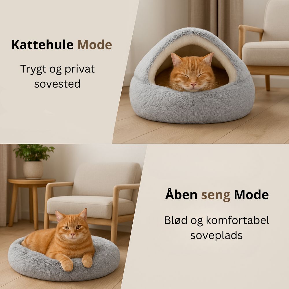 Pawpals Kæledyrshule – Dit kæledyrs trygge fristed!