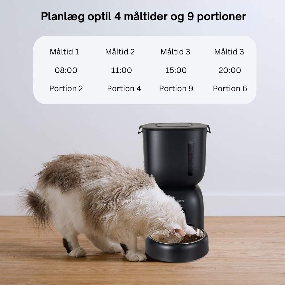 Sarpaws Automatisk Foder- og Vandfontæne til Katte