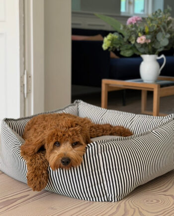 Anna Hundekurven   Sort   Creme Stribet